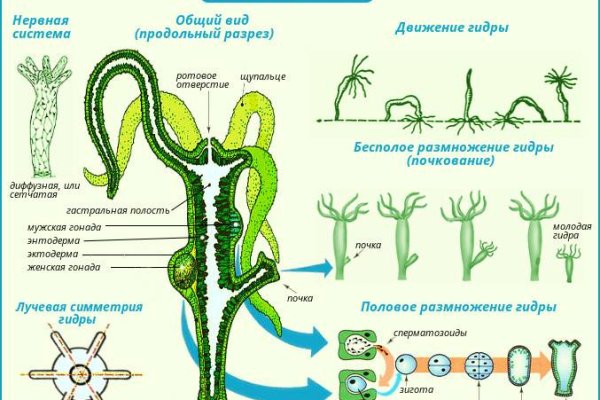 Kraken это современный маркетплейс