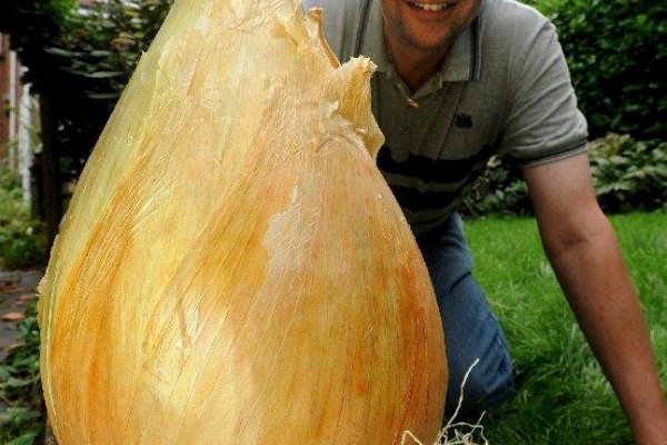 Оригинальные ссылки кракена