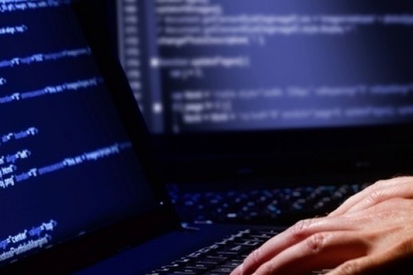 Darknet как войти