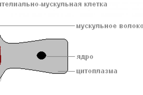 Кракен с айфона